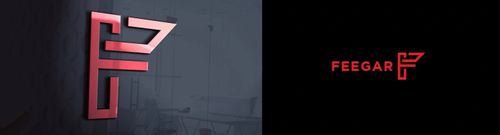 Feegar Transmiter Fm Bluetooth Ładowarka Qc 4.0 Pd na Arena.pl