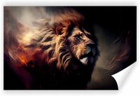 product-compare-62130927