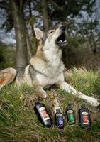 VITAR Veterinae Olej konopny 200 ml - bogate źródło kwasów tłuszczowych