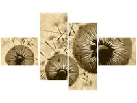 140CM 70 OBRAZ DMUCHAWCE KREMOWYM TLE ŚCIENNY