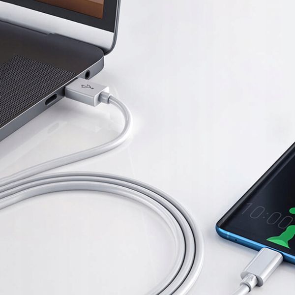 Kabel niktrade USB - USB typ C 2 m biały zdjęcie 3