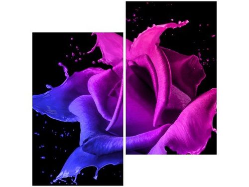 60X60CM RÓŻA FARB JAKUB BANAŚ DWU OBRAZ ŚCIAN na Arena.pl