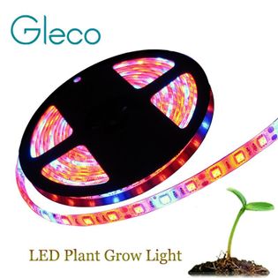 Taśma LED GROW diody SMD 5050 do uprawy roślin IP20