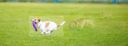 Kamera IP IMOU CRUISER SC WiFi IP66 5Mpx Onvif 3K WiFi na Arena.pl