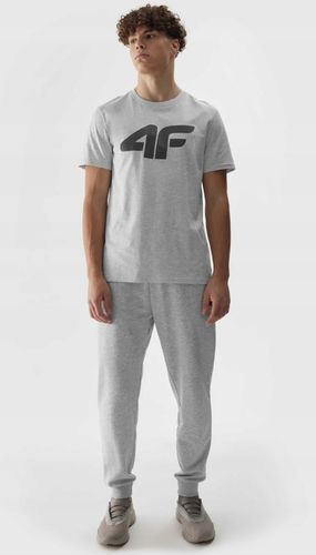 NOWE MĘSKIE SPODNIE DRESOWE 4F JOGGERY 4FWSS24TTROM603-27M r.3XL na Arena.pl