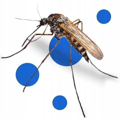 bros - spray na komary i kleszcze 50% deet 90ml - 2 szt. na Arena.pl