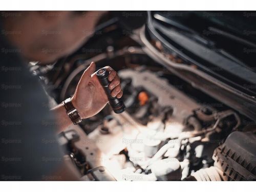 Latarka Newton LED 50 lumenów na Arena.pl