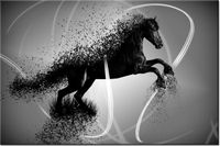 product-compare-58695159