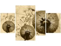 product-compare-58709004