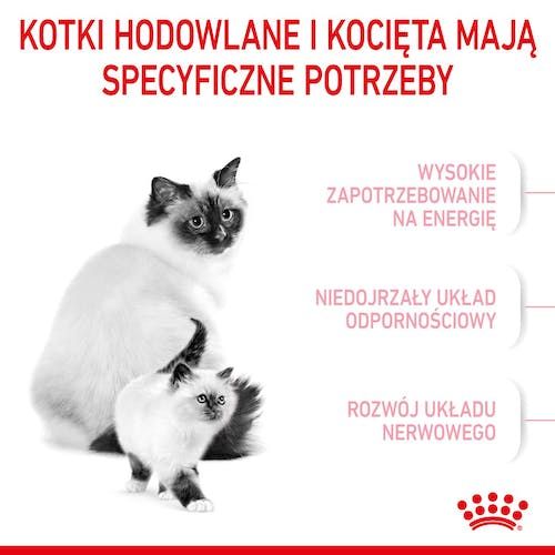 Zbilansowana karma dla kociąt, kotek w ciąży i karmiących Royal Canin 4kg na Arena.pl