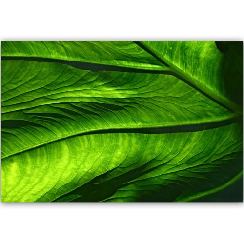 Deco Panel, Liście abstrakcja 120x80 na Arena.pl