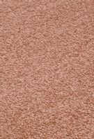 Dywan Shaggy AW Florida 60 - 400x450cm