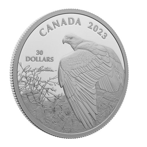 Canada: Vantage Point – Bald Eagle 2 uncje Srebra 2023 Proof na Arena.pl