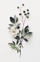 Plakat 53x81cm Papierowy Kwiat