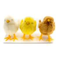 kurczaki wysokość 7 cm. 3 szt WPK-8499
