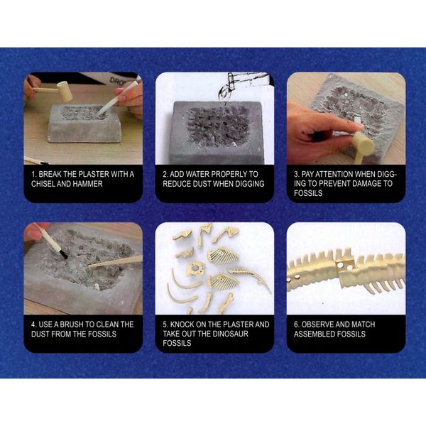 WOOPIE Wykopaliska Dinozaurów 6 Losowych Figurek Szkieletów Dinozaurów zdjęcie 17