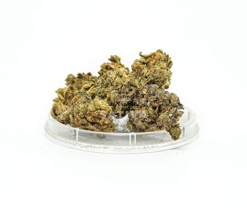 CBD Kwiaty Konopi ”BUBBELS” 5 g na Arena.pl