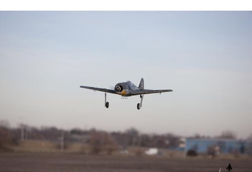 Focke Wulf FW-190A ARF na Arena.pl