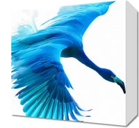 Obraz 30x30cm Błękitny Lot