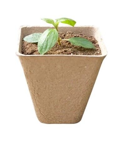 DONICZKI TORFOWE NA ROZSADY SADZONKI 8CM 20SZT na Arena.pl