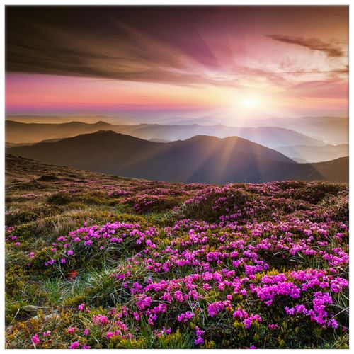 40X40 Obraz Na Prawdziwym Płótnie na Arena.pl