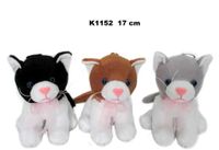 kot z dźwiękiem  K1152