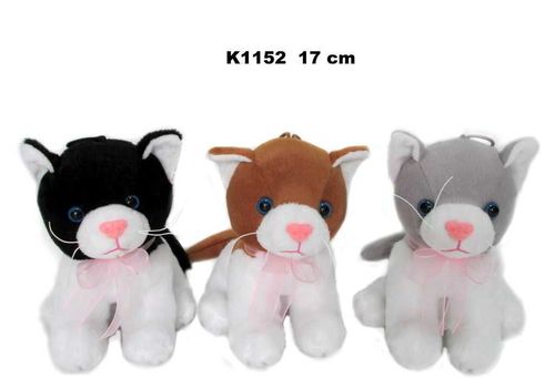 kot z dźwiękiem  K1152 na Arena.pl