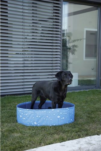 Basen dla psa Bubble, 80 x 80 x 20 cm Kerbl na Arena.pl