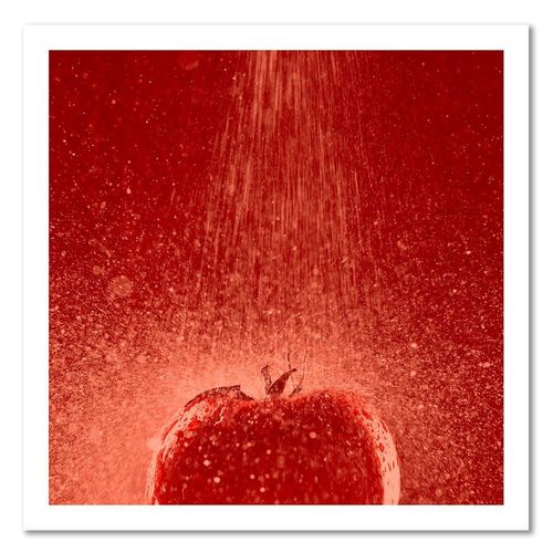 Deco Panel, Pomidor w strudze wody 40x40 na Arena.pl