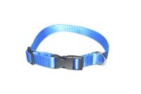 A-005 OBROŻA DLA PSA TAŚMA 25mm/34-55cm Kolor - Niebieski