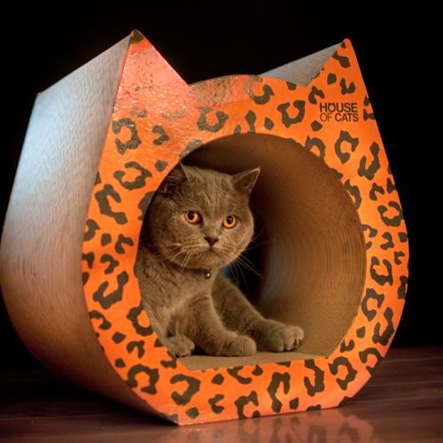 Cat Phanter drapak dla kota na Arena.pl