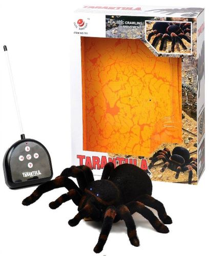 ZAB HH PAJAK TARANTULA DP-4082 na Arena.pl