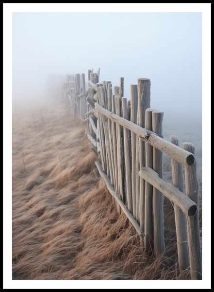 Plakat 64x90cm Mgła nad Wydmami zdjęcie 3