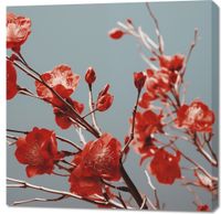 Obraz 90x90cm Szkarłatna Wiosna