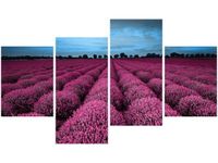 OBRAZ LAWENDOWY NCUSKI KRAJOBRAZ