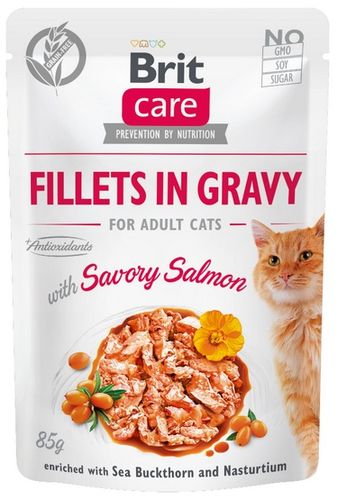 Brit Care Cat Fillets In Gravy Savory Salmon Saszetka 85G na Arena.pl
