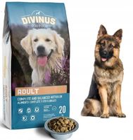 DIVINUS ADULT KARMA DLA OWCZARKA NIEMIECKIEGO 20KG