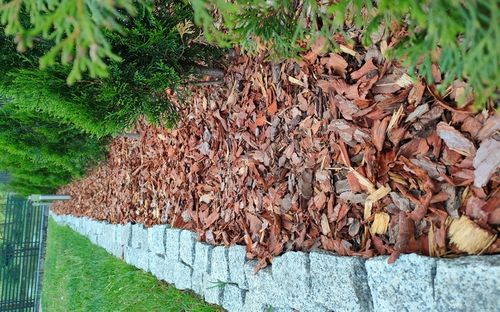 KORA SOSNOWA OGRODOWA WOREK 80L na Arena.pl