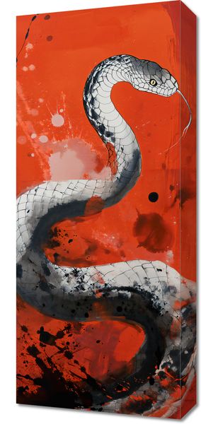 Obraz 30x70cm Smoczy Oddech Węża zdjęcie 1