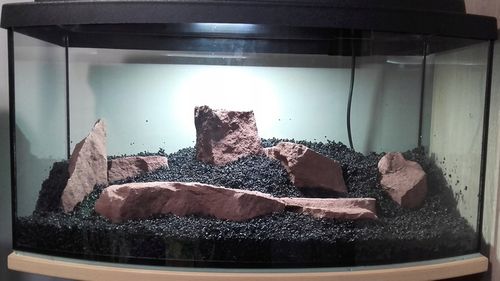 ŻWIREK CZARNY 1-3 mm PODŁOŻE DO AKWARIUM 25kg na Arena.pl