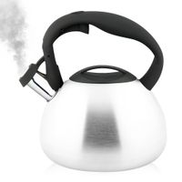 CZAJNIK stalowy nierdzewny 3L z gwizdkiem srebrny