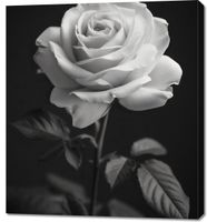 product-compare-59505421