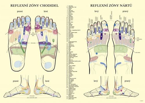 Mata do akupresury z poduszką MOVIT 75 x 44 cm, niebieska na Arena.pl