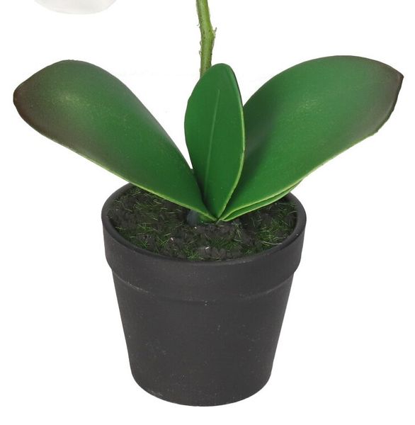 STORCZYK ORCHIDEA SZTUCZNE KWIATY W DONICZCE zdjęcie 3