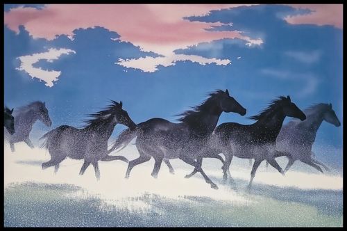 Plakat 86,4x56,8cm Wolność i Swoboda na Arena.pl