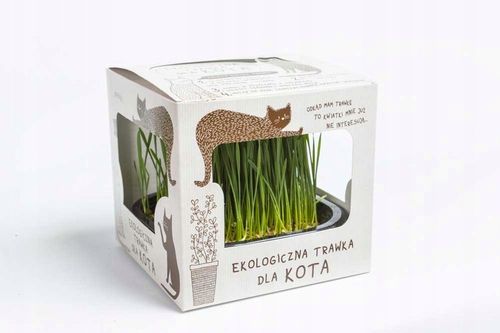Ekologiczna Trawa TRAWKA Dla Kotów Przysmak Odkłaczający Wyrośnięta Świeża na Arena.pl