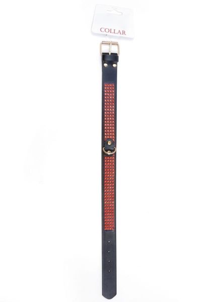 Fetish B - Series Collar With Crystals 3 Cm Red Line zdjęcie 4