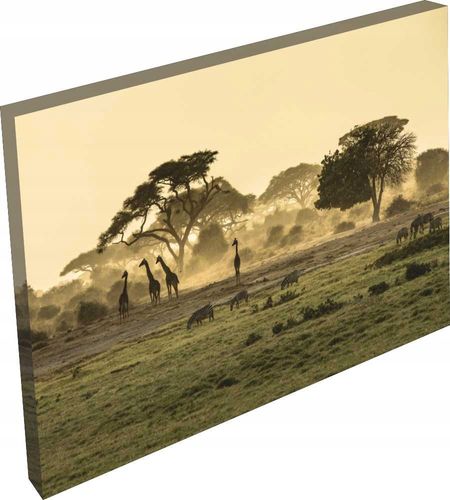 OBRAZ na płótnie widok las we mgle do salonu 120cm na Arena.pl