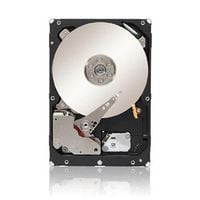 Dell HD,1TRB,NL6,7.2K,3.5,SGT-MSKP