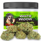 Susz konopny CBD | WHITE WIDOW | 5 g